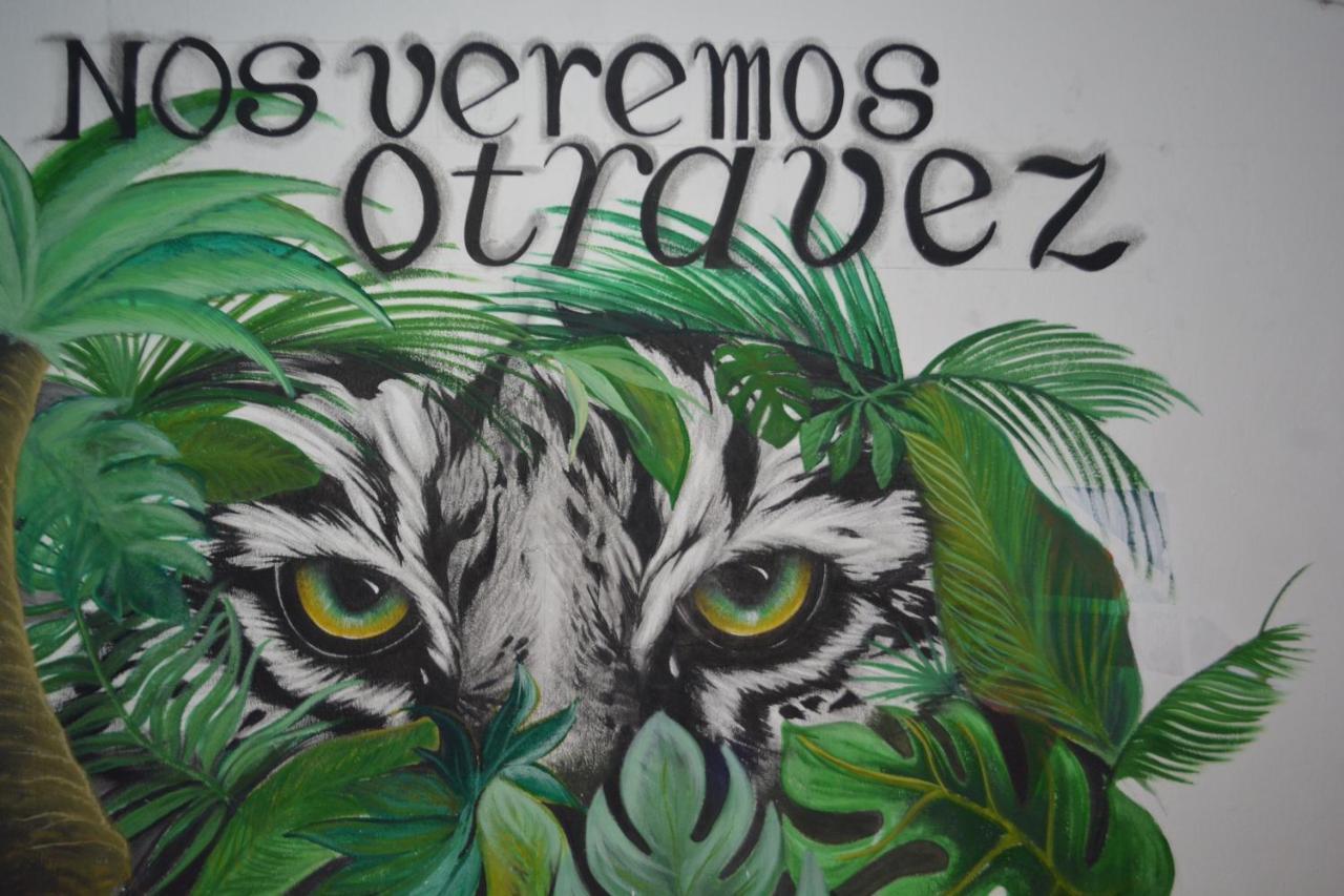 Nos Veremos Otra Vez Búzios